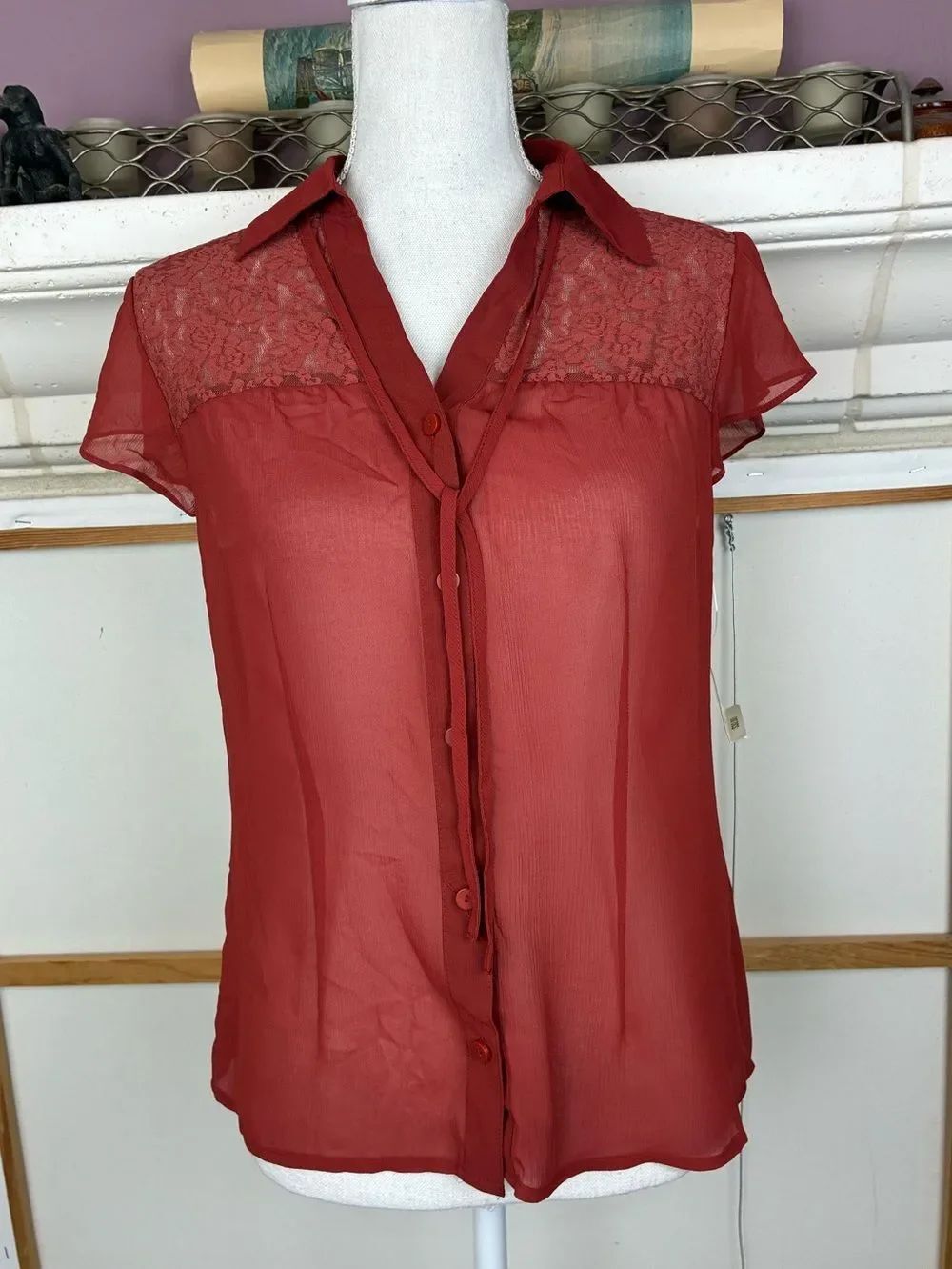 Vintage 90s NWT Sheer chiffon Lace Yoke Button-Front, tie neck blouse